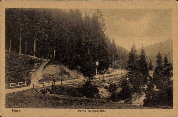 Ak Wildemann Clausthal Zellerfeld im Oberharz,  im Spiegeltal, Wald