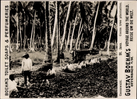 Photo Java Indonesia, coconut forest, advertising Gustav Boehm's Toilet Soaps