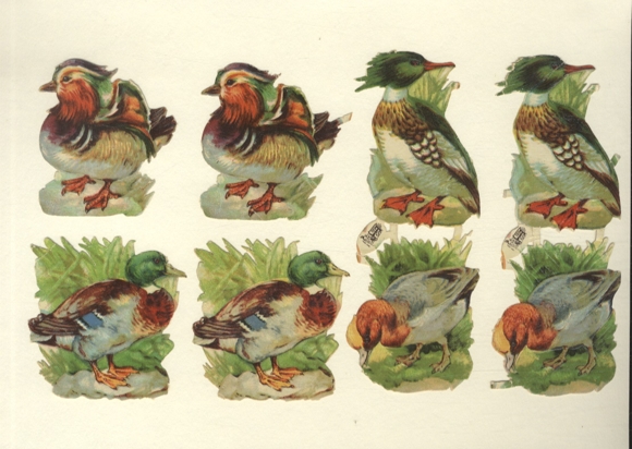 6 Oblaten (davon 2x 2er Blöcke) Enten, ca. 15 x 6 cm und 7 x 6,5 cm