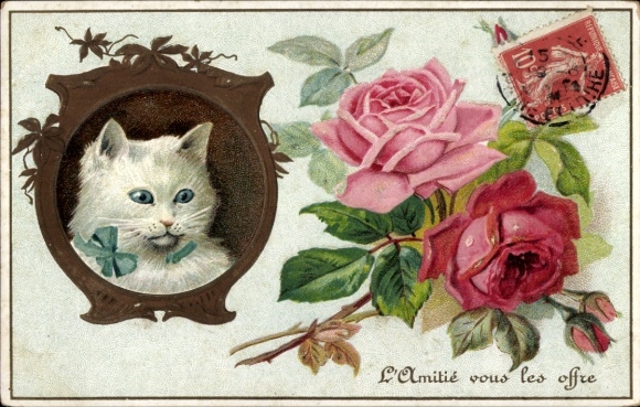 Postcard cats with collar, roses