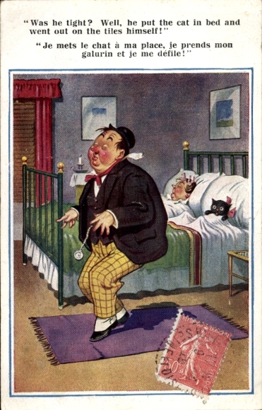 Artist Postcard McGill, Donald, Drunk Man Returns Home, Cat in Bed