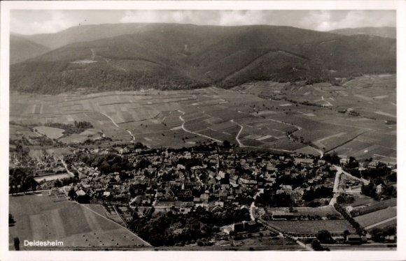 Postcard Deidesheim in the Palatinate, landscape photograph, vineyards, hills, historic village