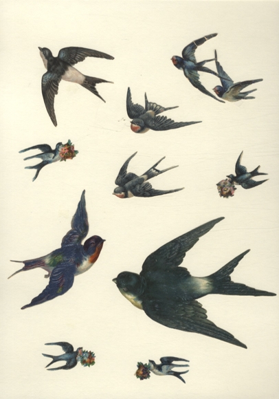 10 wafer swallows, approx. 10 x 12 cm to 2 x 4 cm