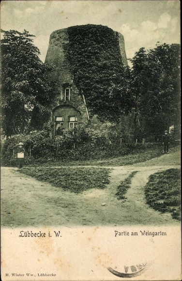 PC Lübbecke in East Westphalia, lot at the vineyard