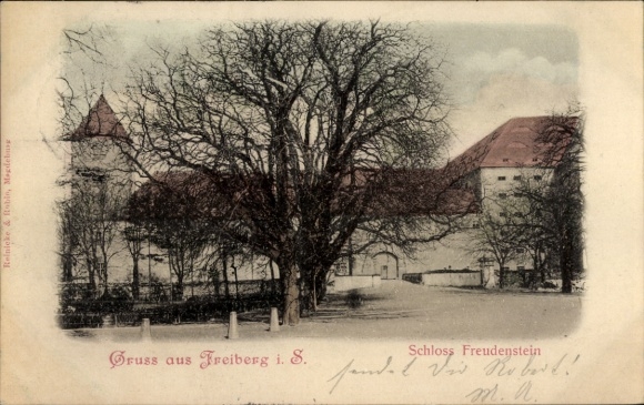 Ak Freiberg in Sachsen, Schloss Freudenstein, Baum, historische Architektur