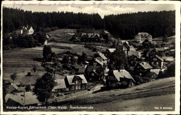 Postcard Stützerbach Ilmenau Thuringian Forest, Auerhahnstraße