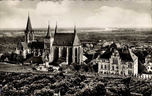 Ak Oppenheim am Oberrhein, Kirche, Gebäude, Weinberge, Landschaft, 