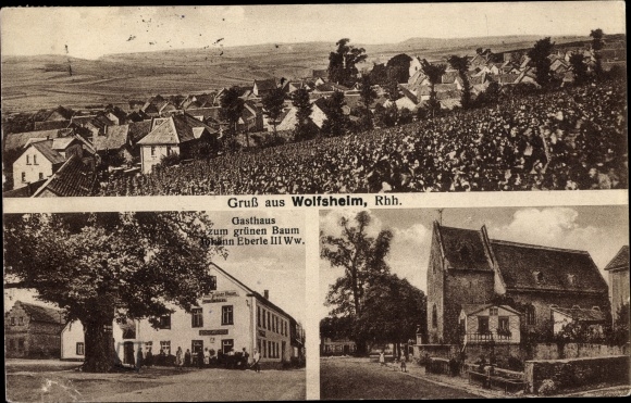 Ansichtkaart Wolfsheim Rijnland-Palts, herberg aan de groene boom, kerk, totaaloverzicht