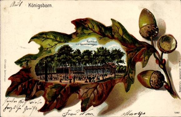 Oak leaf litho Königsborn Unna in the Ruhr area, spa house, gardens