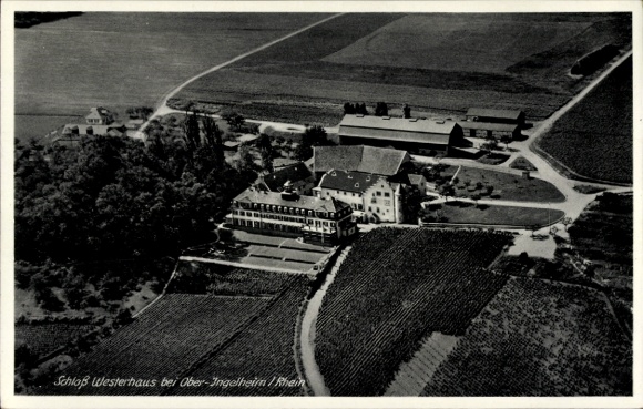 Postcard Ober Ingelheim am Rhein, aerial photograph
