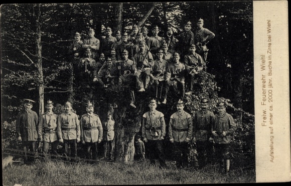 Postcard Wiehl in the Oberberg district, volunteer fire brigade, 2000-year-old beech tree in Zirre