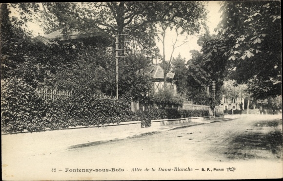 Postcard Fontenay sous Bois Val de Marne, Allee de la Dame Blanche
