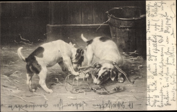 Postcard Two Terriers Playing with Muzzle