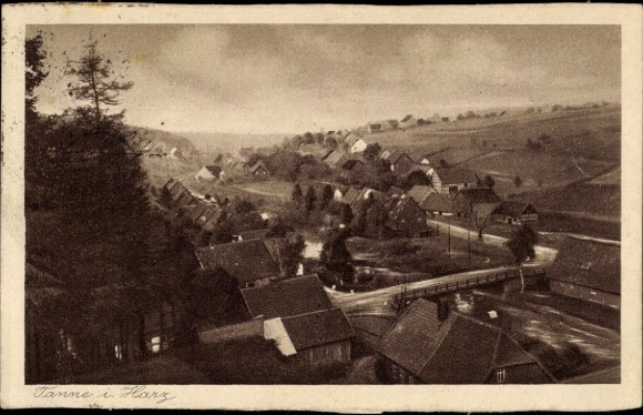 Ak Benneckenstein Oberharz, landschap in de Harz, huizen, rivier, brug