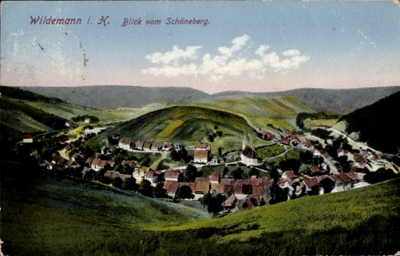 Ak Wildemann Clausthal Zellerfeld im Oberharz, Blick vom Schöneberg