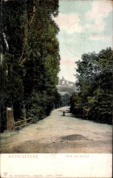 Ak Wernigerode im Harz,  Blick zum Schloss, Straße, Bäume,  von 1905