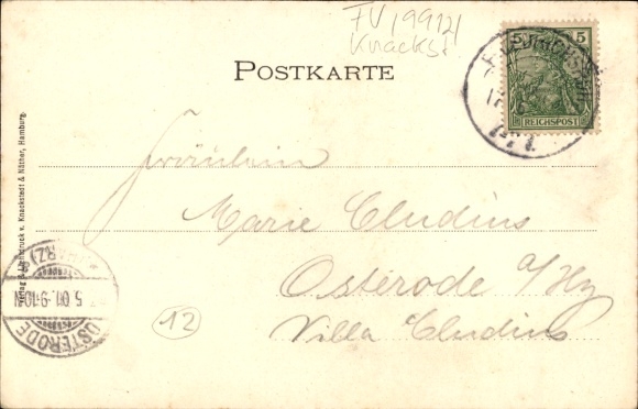 passe-partout KP Friedrichsruh Aumühle w Księstwie Lauenburg, zamek, grupa jeleni, las, noc