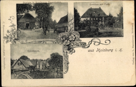 Ak Moisburg in Nedersaksen, Dorfstraße, domein met park, Estedamm, winkel