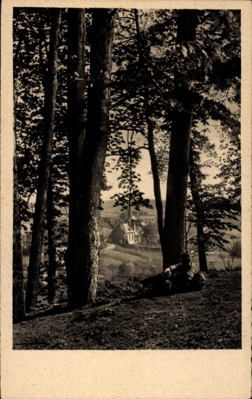 Postcard Thierfeld Hartenstein Saxony, view from the forest, church