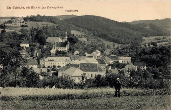 Ak Bad Gottleuba, met uitzicht op de Mariengründel, Berg