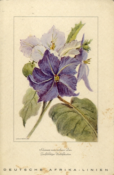 Artist menu card Bohlen, Lulu, steamer Ussukuma, January 1, 1935, breakfast