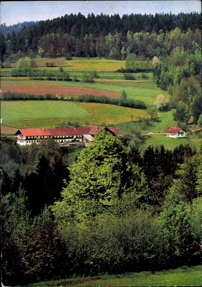 Ak Frauenau im Bayerischer Wald, Rachel, Landschaft mit Wäldern und Wiesen, Pension Miethanner...