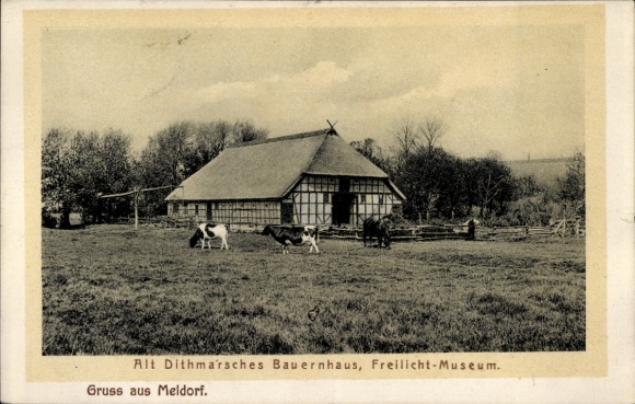 Ak Meldorf in Holstein, Alt-Dithmarsches Bauernhaus, Freilichtmuseum, Kühe