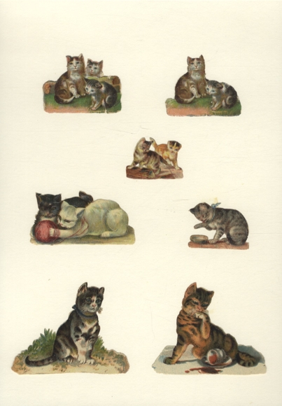 7 bawiących się kotków waflowych o wymiarach ok. 7 x 8,5 cm do 3 x 4,5 cm
