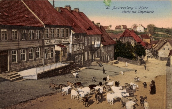 KP Sankt Andreasberg Braunlage w Górnym Harzu, targ ze stadem kóz