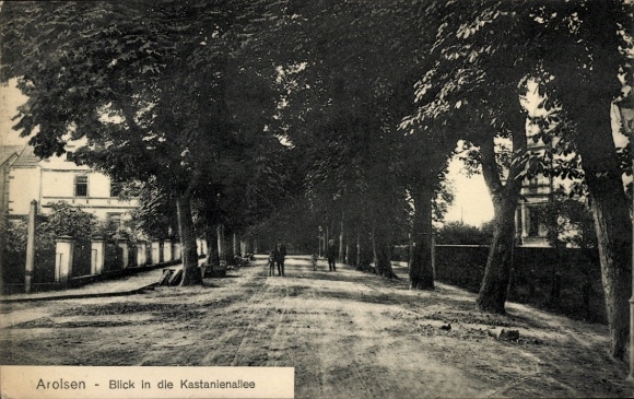 Postcard Bad Arolsen in Hesse, view into the Kastanienallee