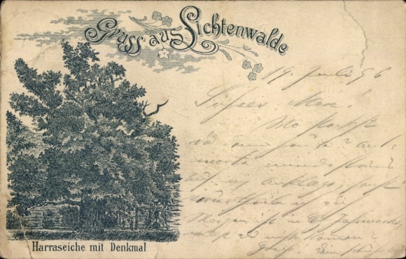 Ak Lichtenwalde Niederwiesa Sachsen, Harraseiche mit Denkmal