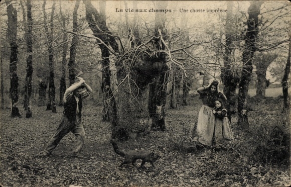 Postcard La vie aux champs, une chasse imprevue
