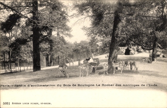 PC Paris XVI, Jardin d'Acclimatation, Le Rocher des Antilopes de l'Inde