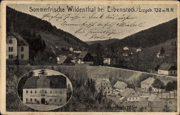 Ak Wildenthal Eibenstock im Erzgebirge , Sommerfrische Wildenthal,  Erzgebirge, 732 m.N.N.