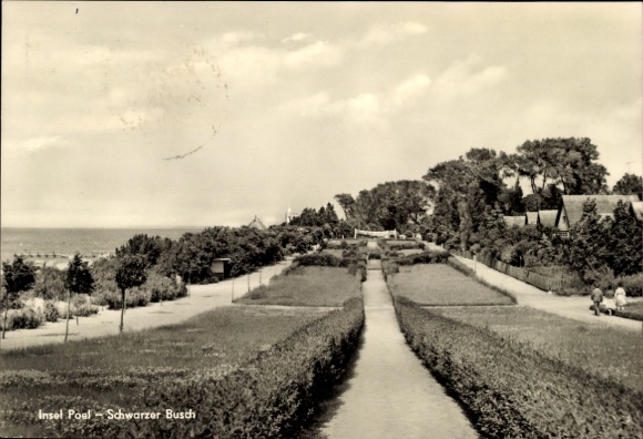 Postcard Schwarzer Busch Island of Poel Mecklenburg, Promenade