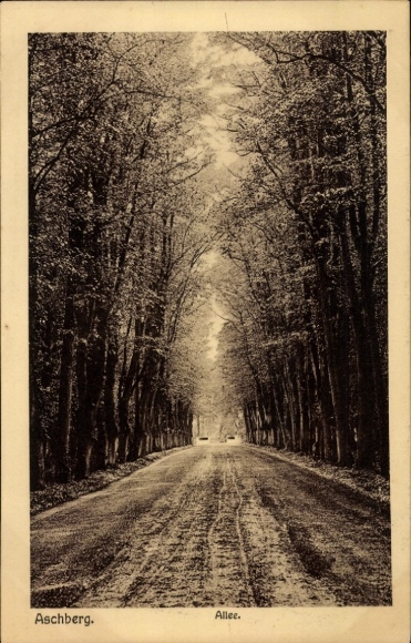 Ak Aschberg Klingenthal in Vogtland Saksen, Allee, Aschberg.