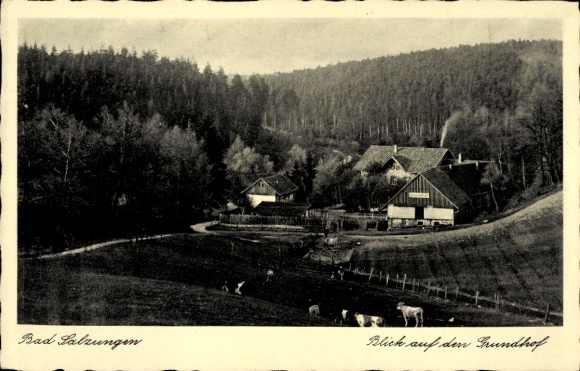 Postcard Bad Salzungen in Thuringia, landscape, farmyard, farmhouses, cows