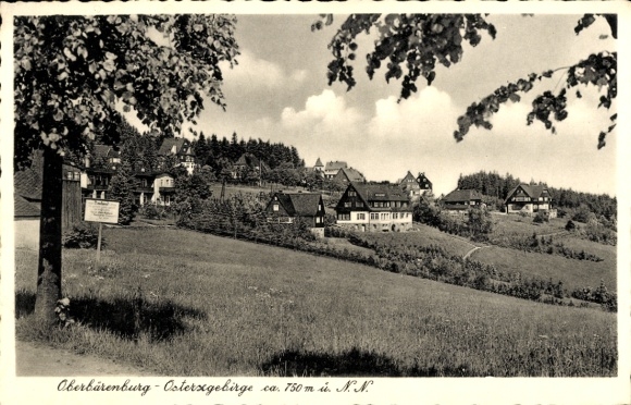 Ak Oberbärenburg Altenberg im Osterzgebirge, Teilansicht
