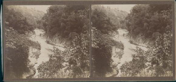Stereo Photo Jamaica, 1915, Urwald, Fluss