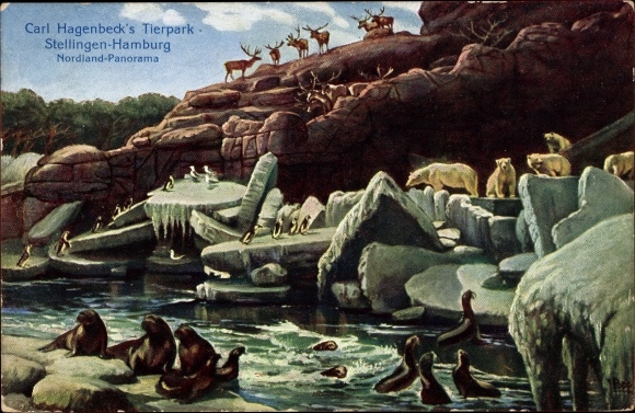 PC Hamburg Eimsbüttel Stellingen, Carl Hagenbeck&#39;s Zoo, Nordland Panorama, polar bears, seals