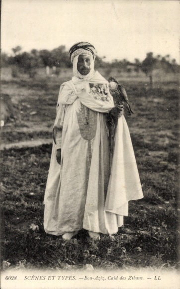 Postcard Arab with falcon, Arabian costume, Maghreb