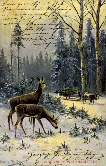 Ak Glückwunsch Weihnachten, Hirsche im Winterwald, Gesegnete Weihnachten