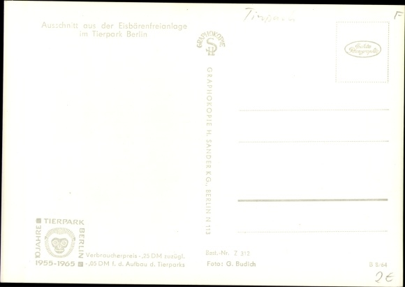 Postcard Berlin Lichtenberg Friedrichsfelde, zoo, polar bear enclosure, polar bears