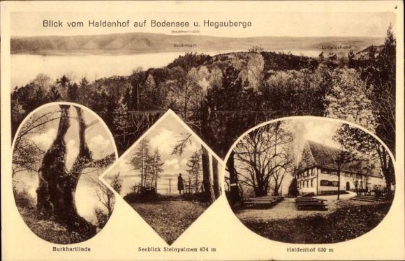 Postcard Haldenhof Überlingen on Lake Constance, Hegauberge, Burkhartlinde, stone palms