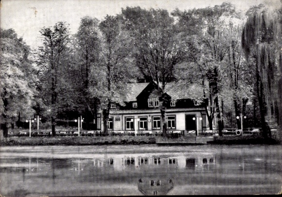 Ak Mittweida in Sachsen, Schwanenschlößchen, Gaststätte, Adolf-Hitler-Park, Bäume, Wasser