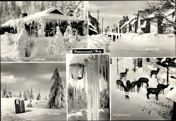 Giant PC Frauenwald am Rennsteig, ski hut, north road, wild feeding, winter views