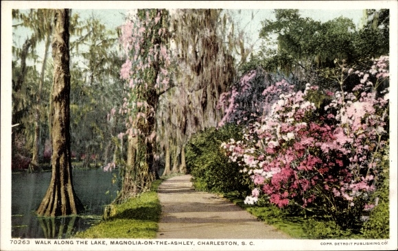 PC Charleston South Carolina Verenigde Staten, Magnolia on the Ashley, Loop langs het meer
