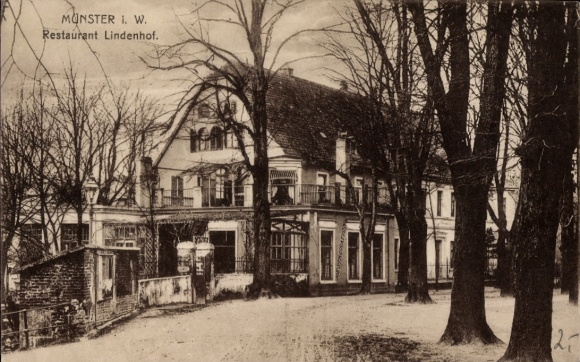 Ak Münster in Westfalen, Restaurant Lindenhof