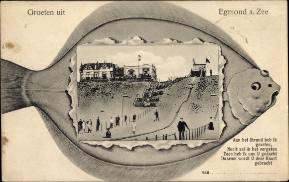 Passepartout PC Egmond aan Zee North Holland Netherlands, Promenade, Fisch