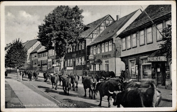 PC Benneckenstein Oberharz am Brocken, cattle drive through the town, crown prince, café